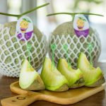 Phanomrung Puri Boutique Hotels and resorts : Cleanfarm melon